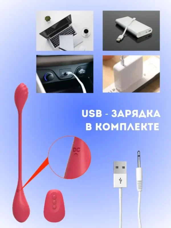 Двойной вибратор — изображение 4